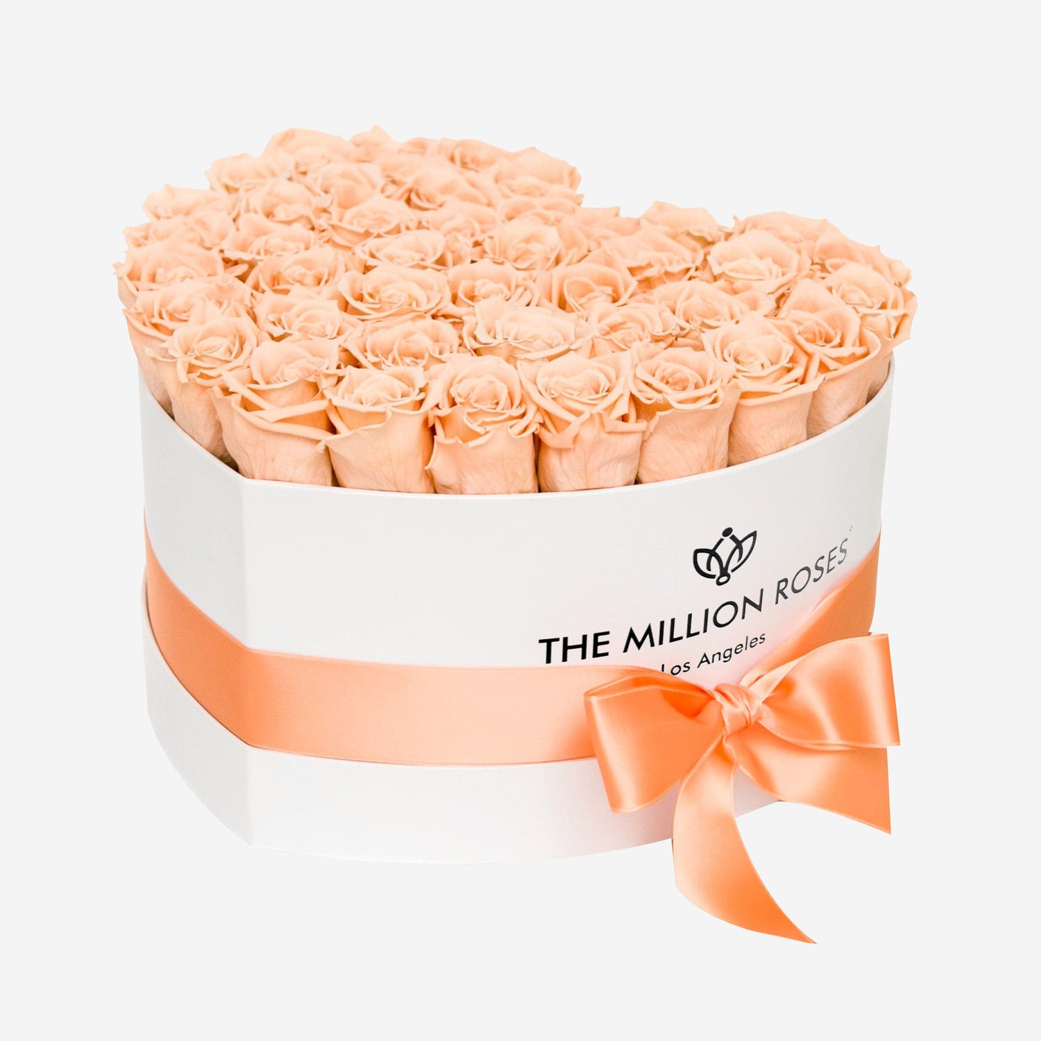 Peach Roses