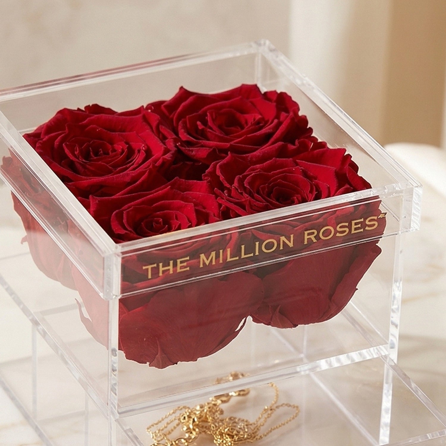 Four magenta preserved forever roses in clear acrylic box with blushing roses branding | blushingroses.com