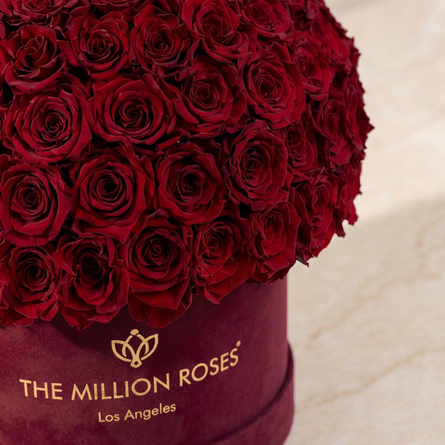 Burgundy Roses