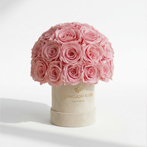 Basic Beige Suede Superdome Box | Light Pink Roses