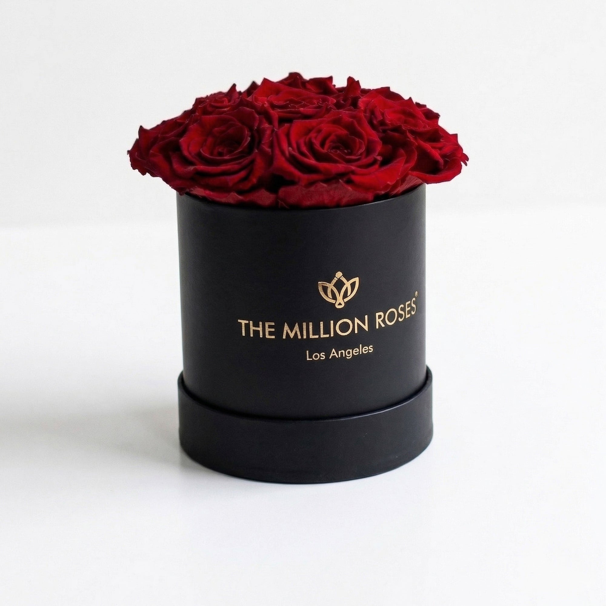 Basic Black Box | Red Roses