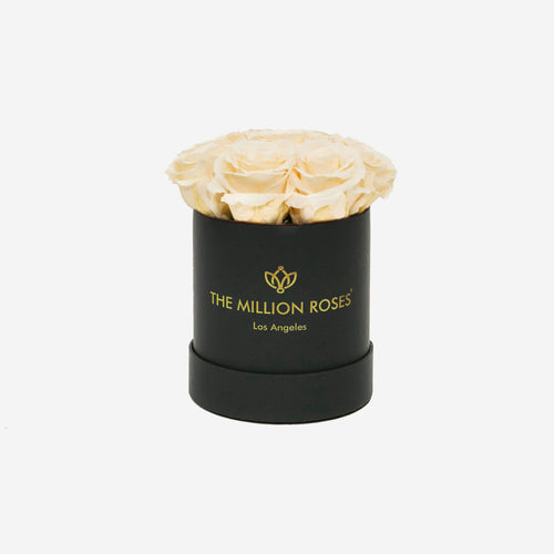 Ivory Roses | Basic Black Box | Blushing Roses