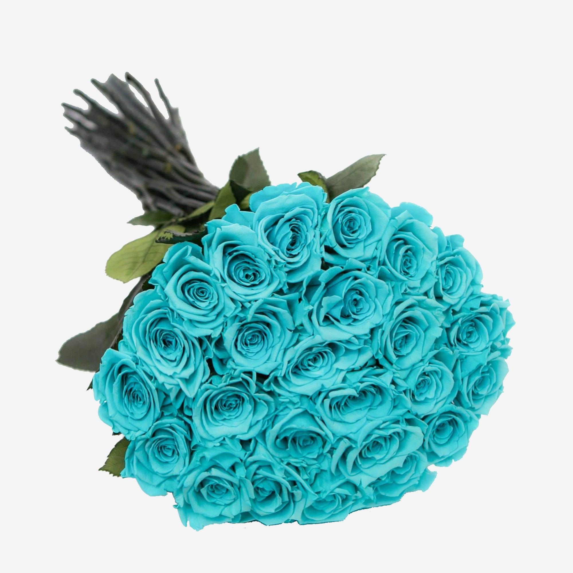 Long Stem Roses | Turquoise Roses | BLUSHING ROSES