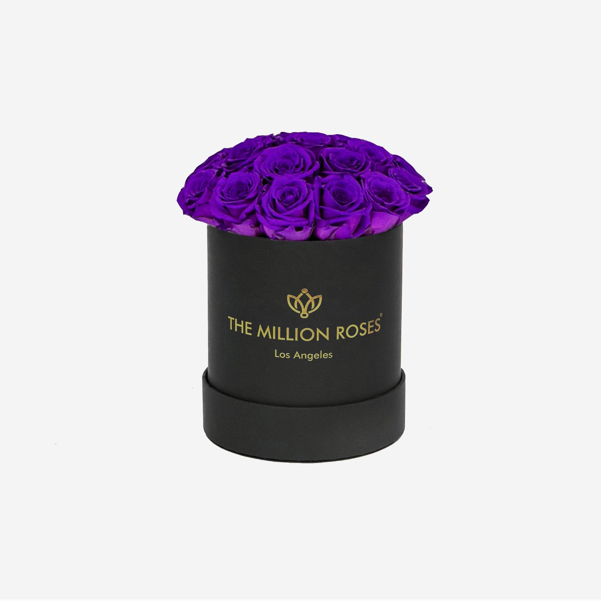 Basic Black Box | Bright Purple Roses