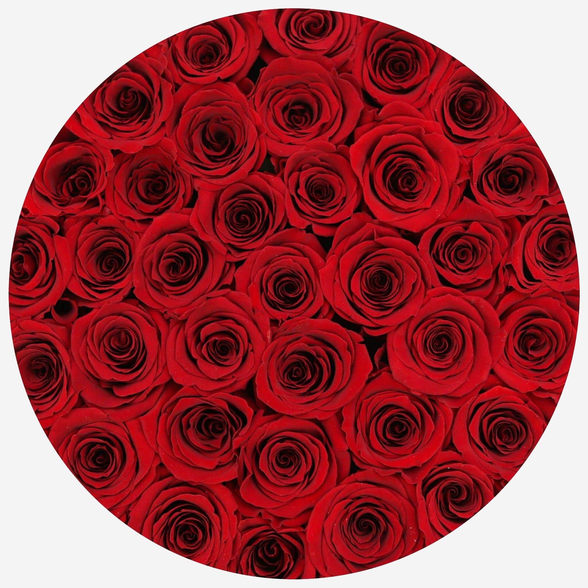 Supreme White Box | Red Roses