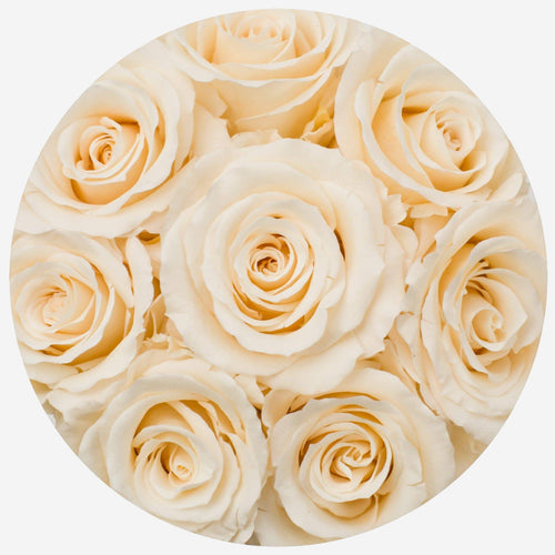 Ivory Roses | Basic Black Box | Blushing Roses