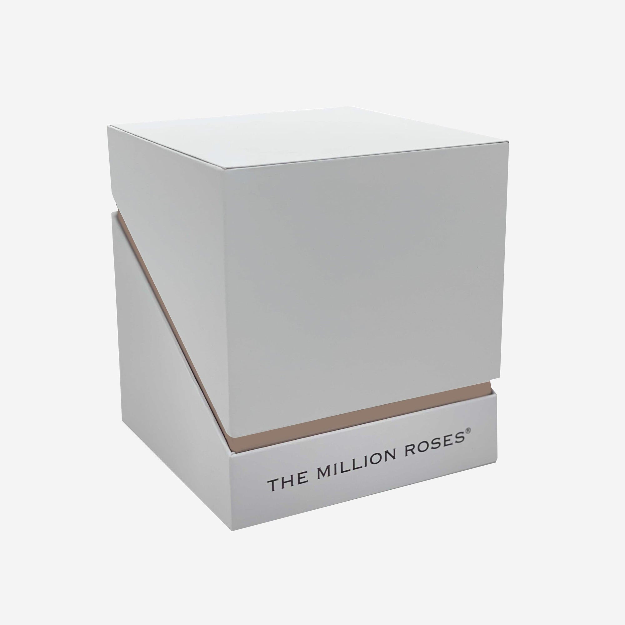 Square White Box | Light Pink Roses