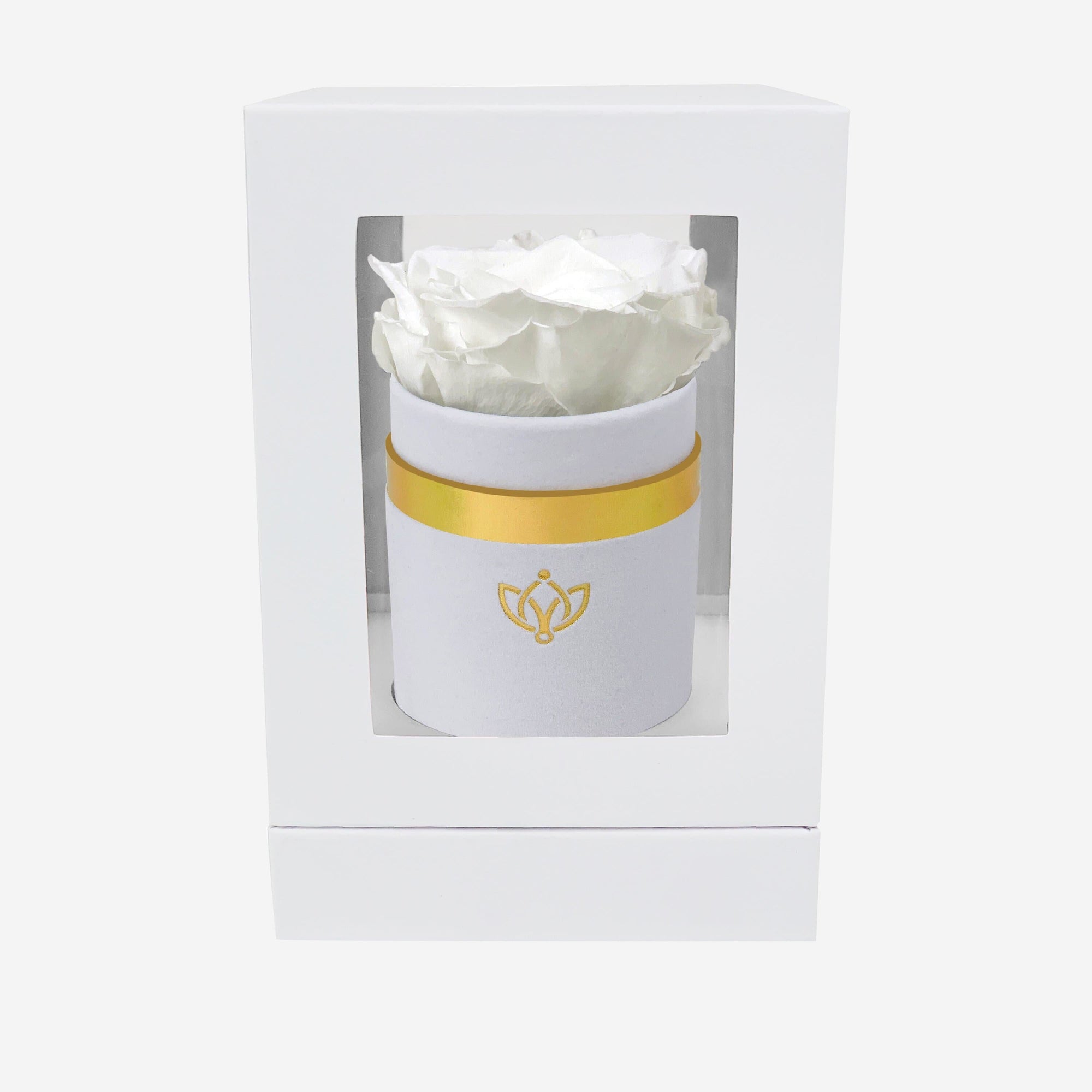 Single White Suede Box | White Rose