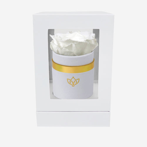 Single White Suede Box | White Rose