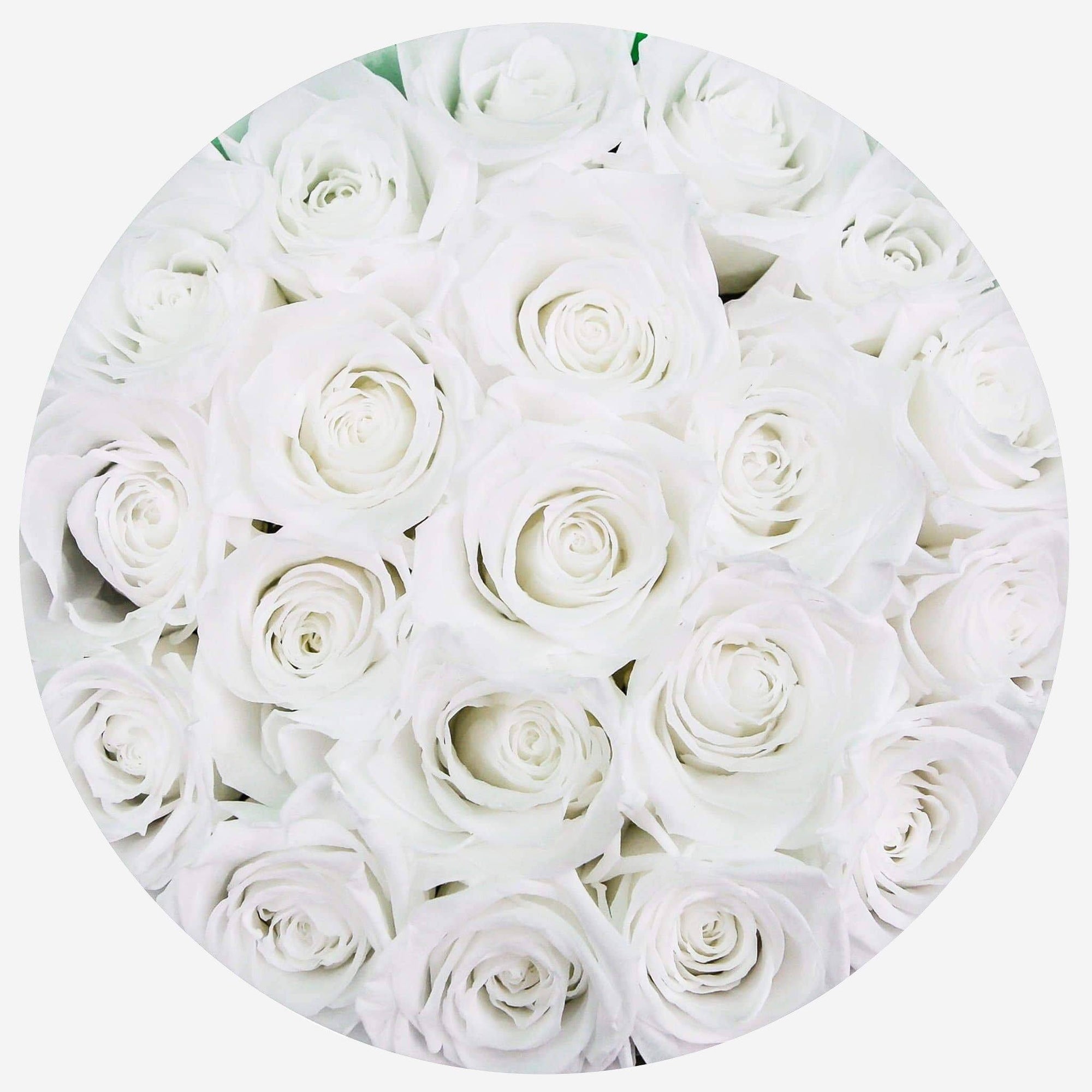 Classic White Box | White Roses