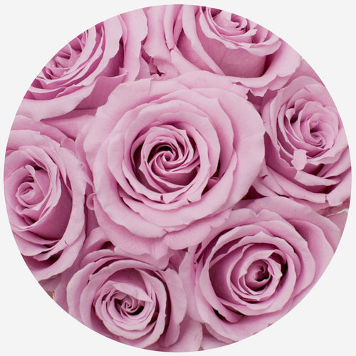 Basic Black Box | Light Pink Roses