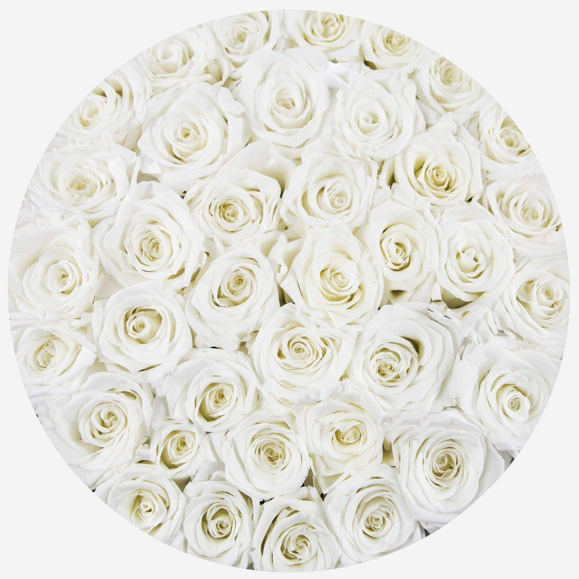 Supreme Black Box | White Roses