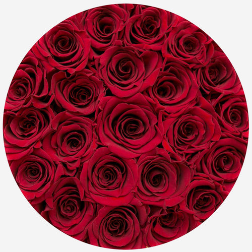 Classic White Box | Red Roses
