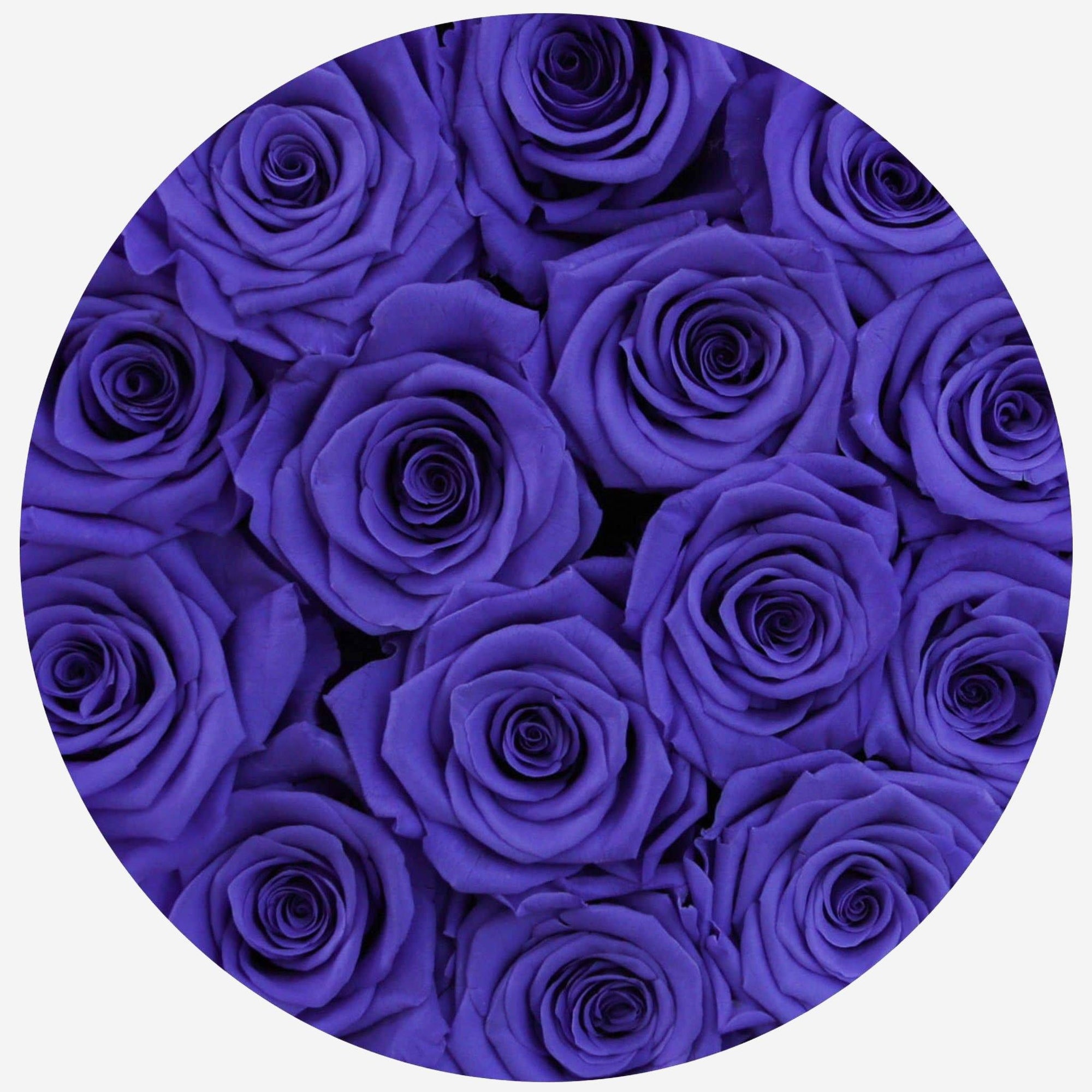 Classic White Box | Violet Roses