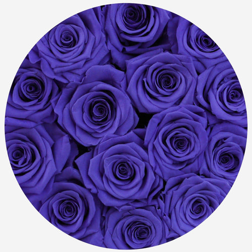 Classic White Box | Violet Roses