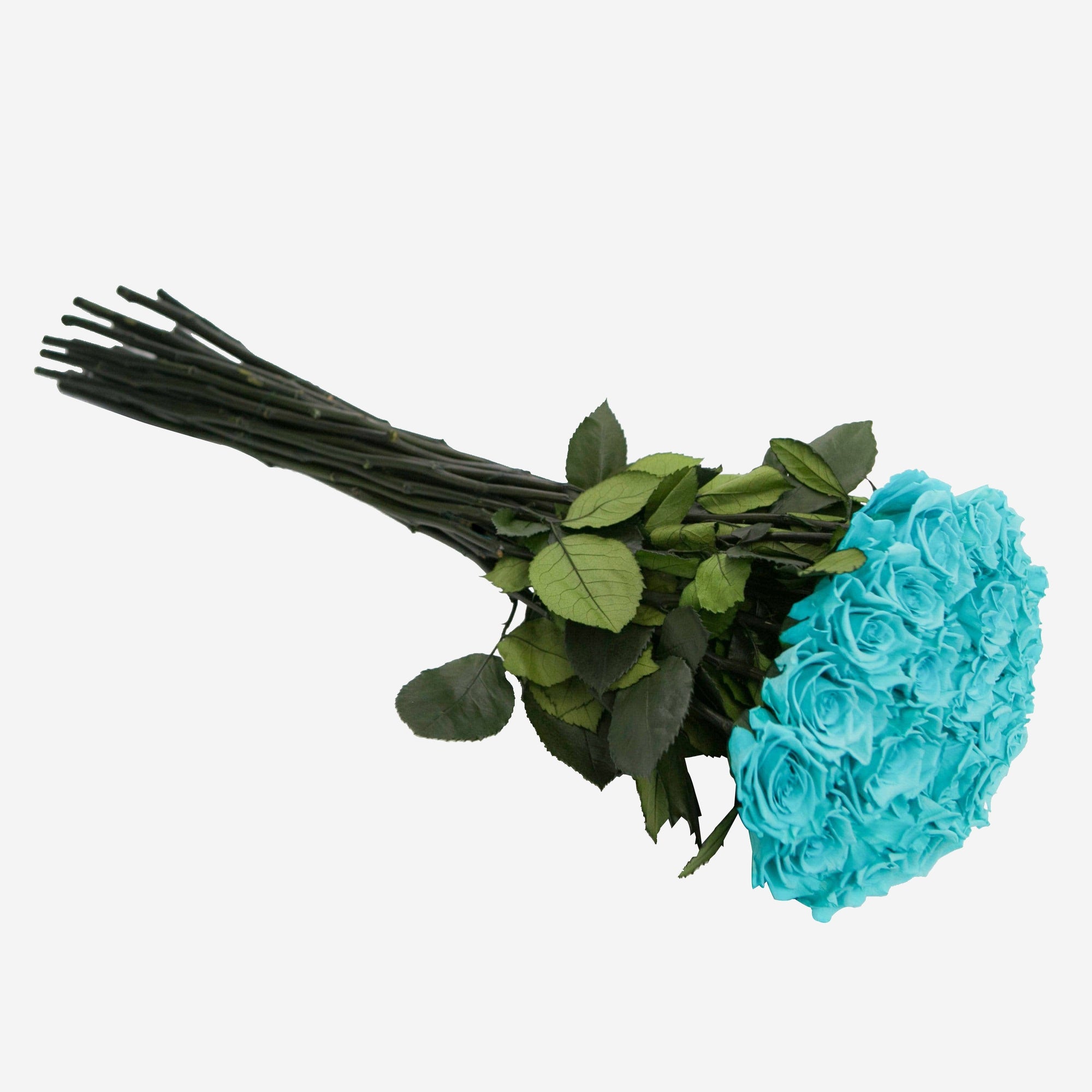 Long Stem Roses | Turquoise Roses | BLUSHING ROSES