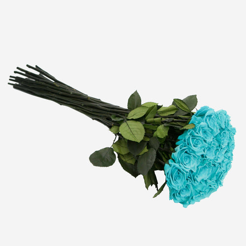 Long Stem Roses | Turquoise Roses | BLUSHING ROSES