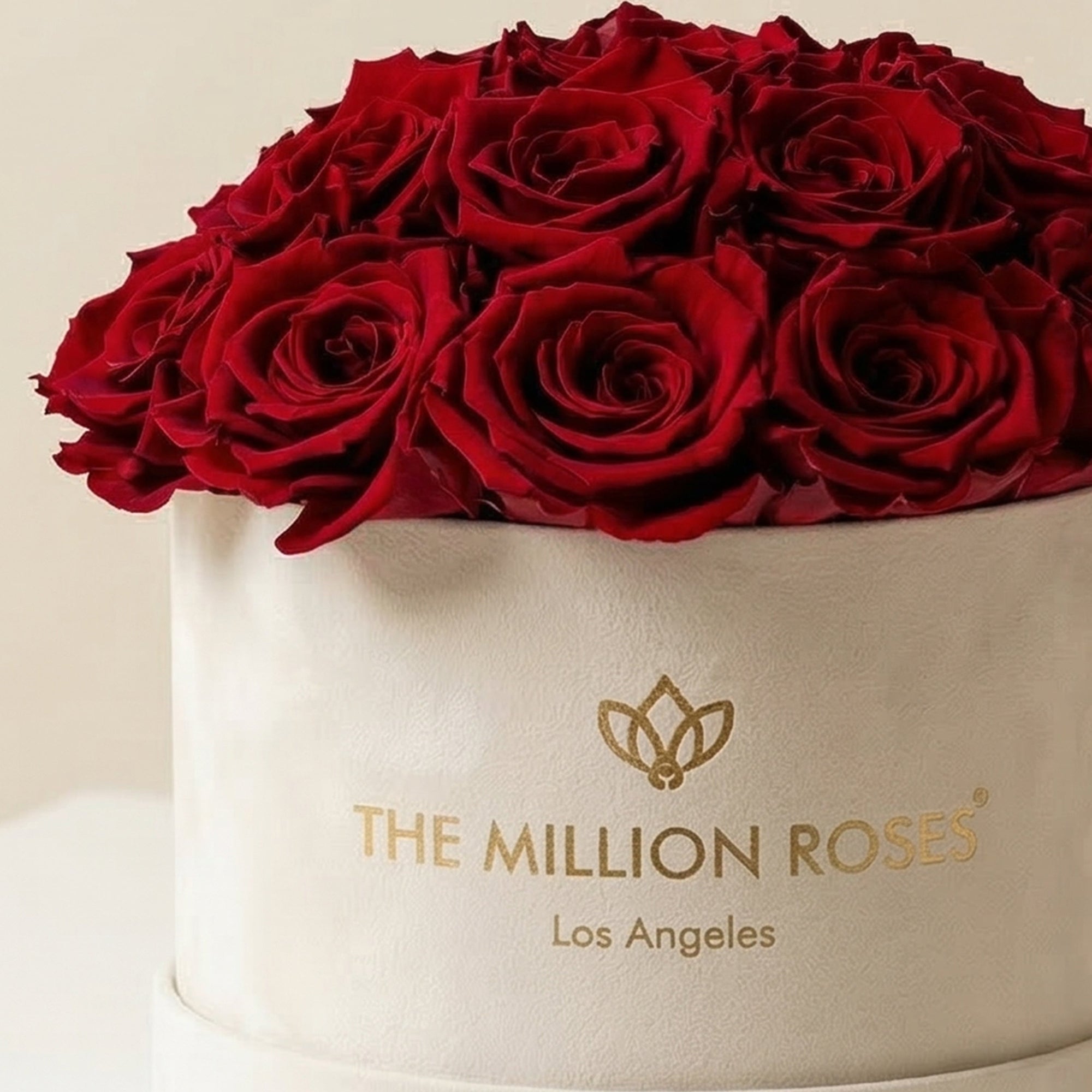 Classic Beige Suede Dome Box | Red Roses