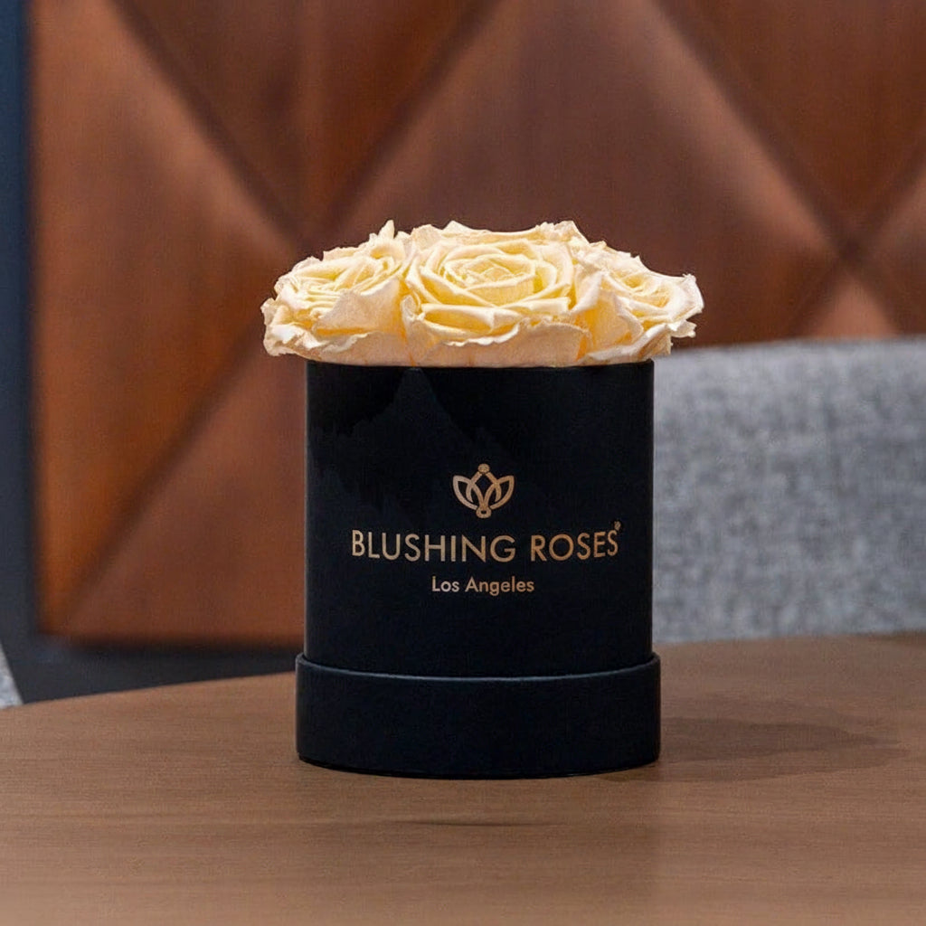 Ivory Roses | Basic Black Box | Blushing Roses