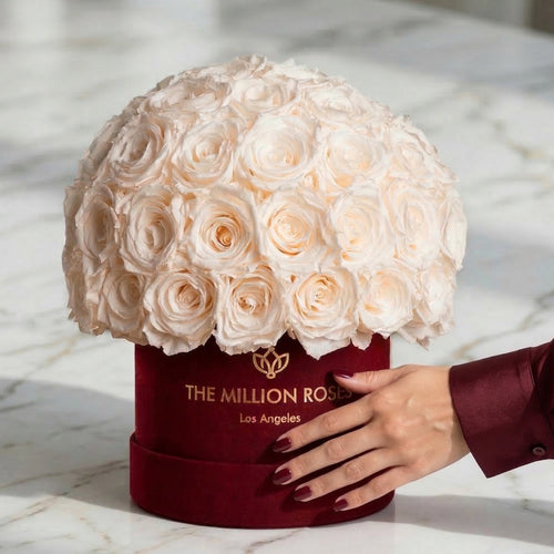 Classic Bordeaux Suede Superdome Box | White Roses