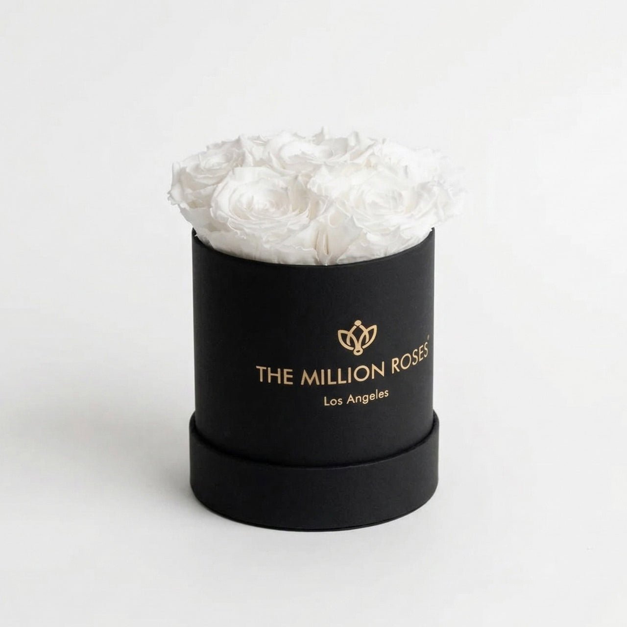 Basic Black Box | White Roses