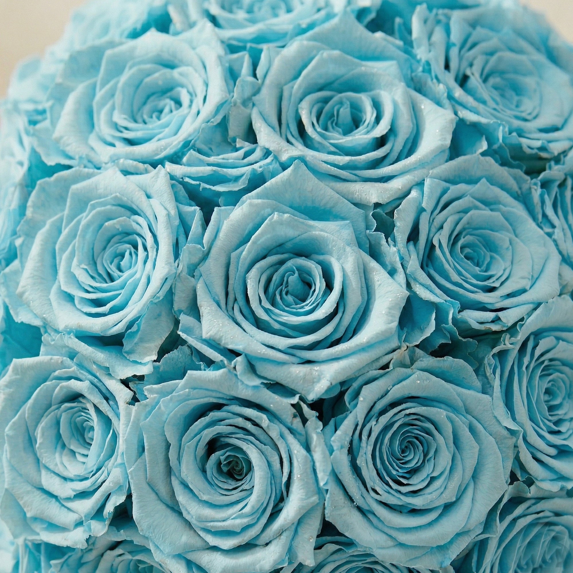 Basic Mint Green Suede Superdome Box | Turquoise Roses