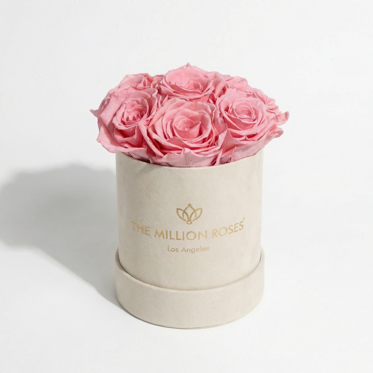 Basic Beige Suede Box | Light Pink Roses
