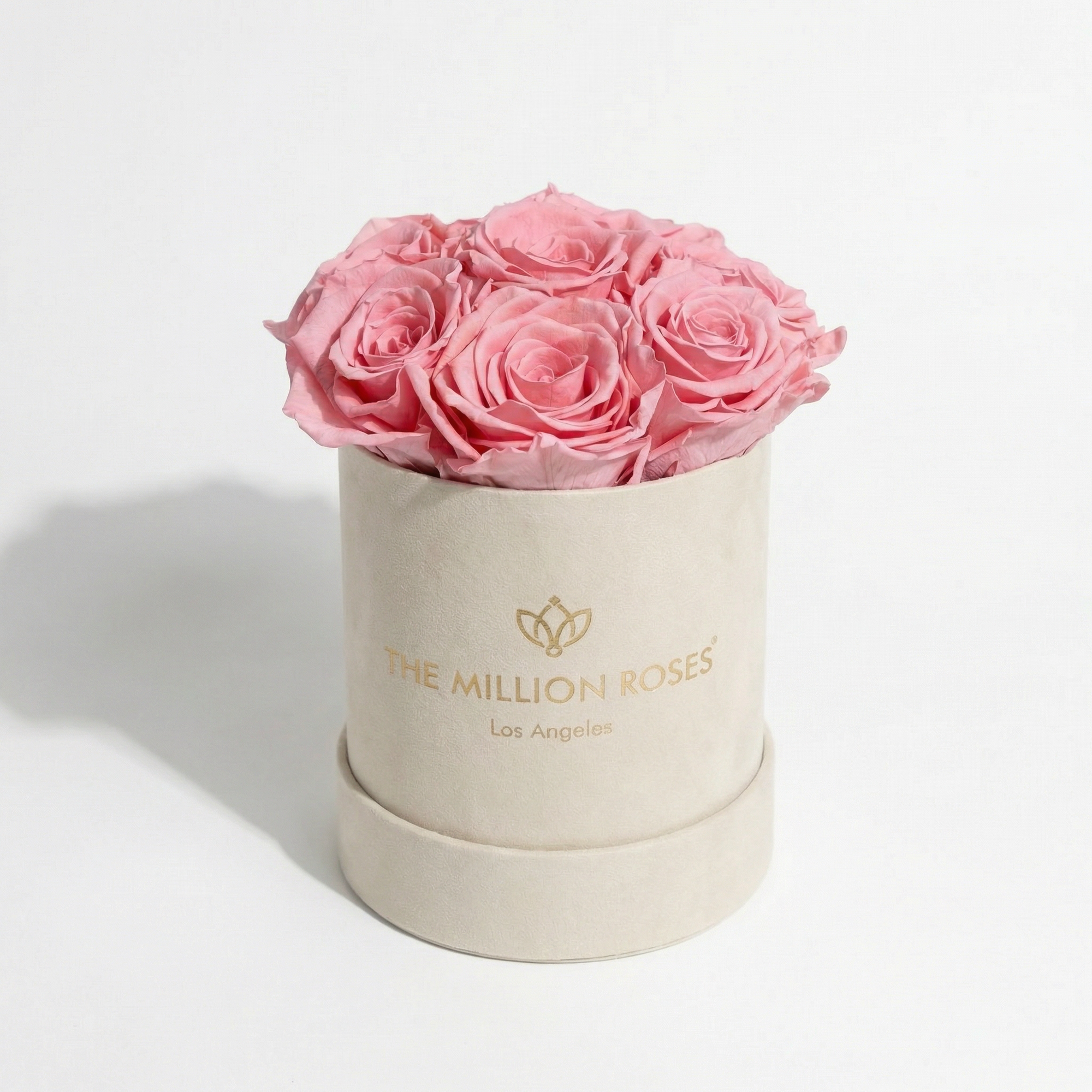 Basic Beige Suede Box | Light Pink Roses