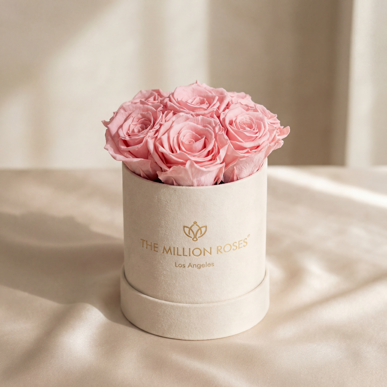 Basic Beige Suede Box | Light Pink Roses