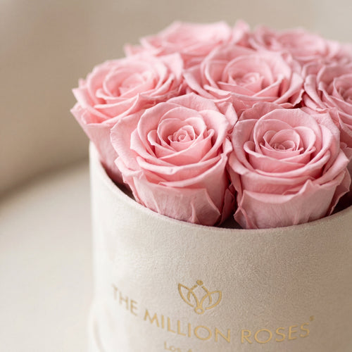 Basic Beige Suede Box | Light Pink Roses