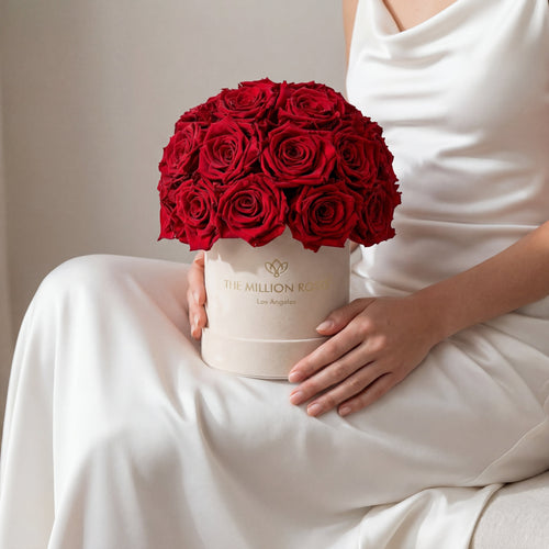 Basic Beige Suede Superdome Box | Red Roses