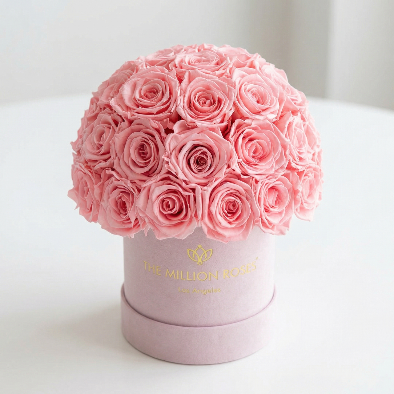 Basic Light Pink Suede Superdome Box | Light Pink Roses