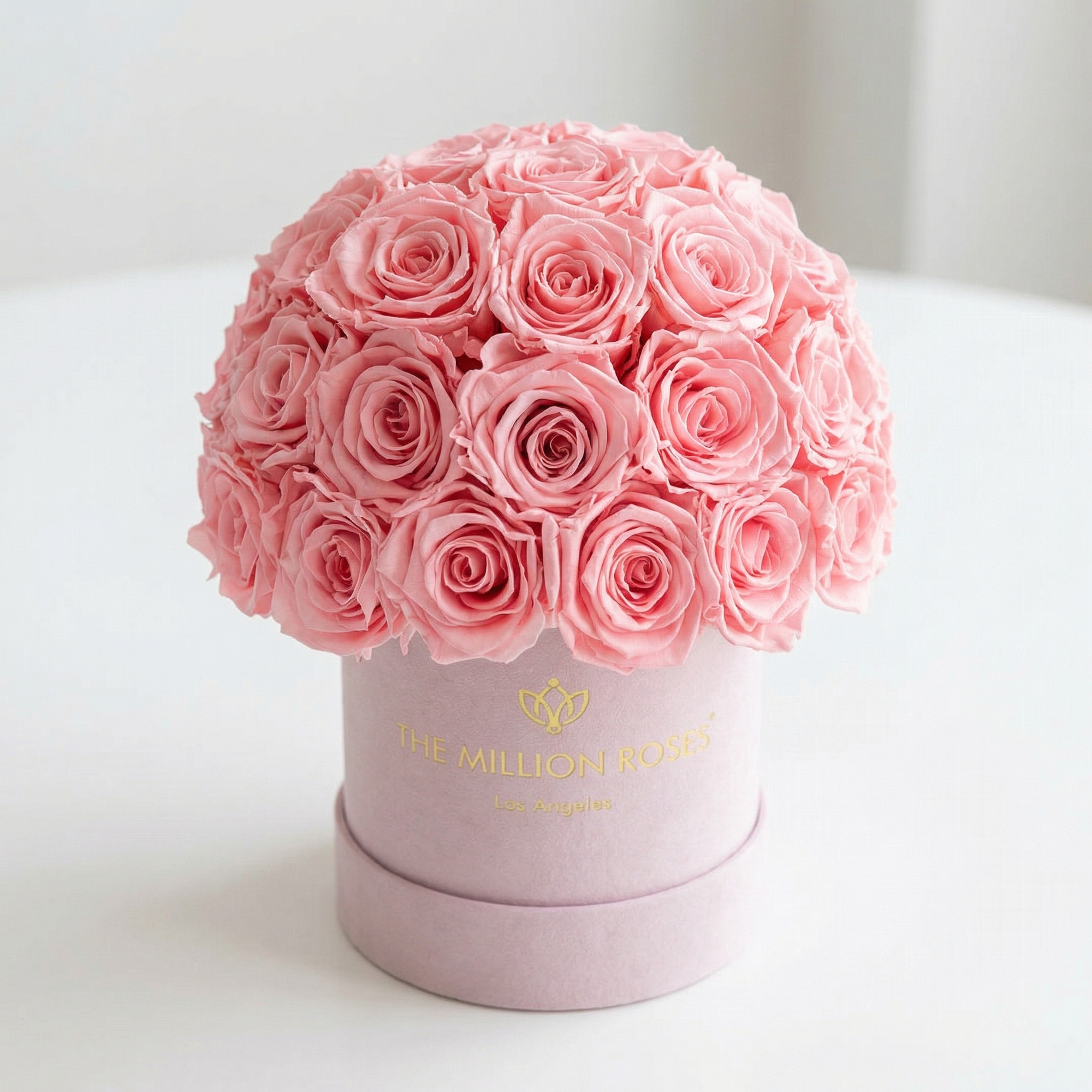 Basic Light Pink Suede Superdome Box | Light Pink Roses
