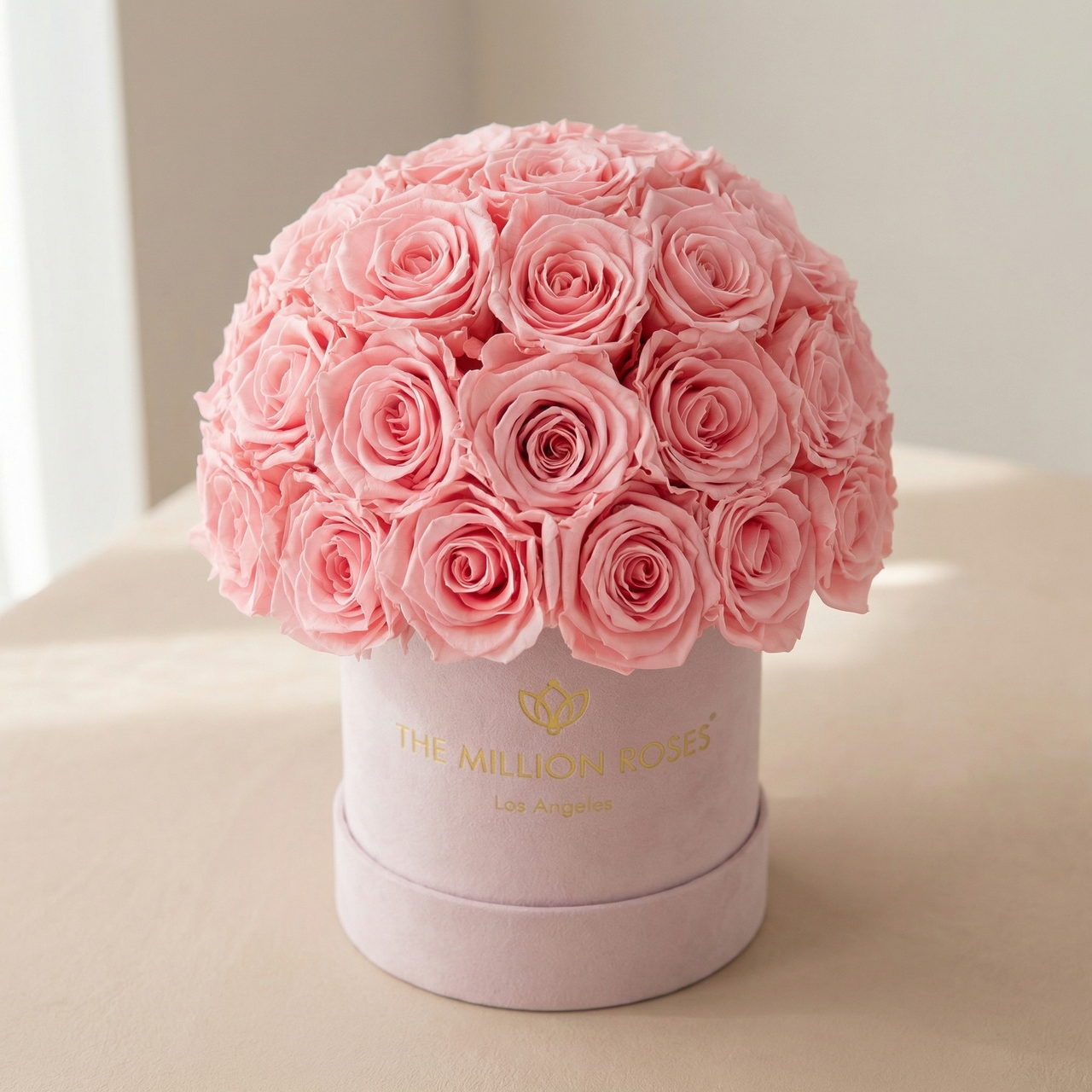 Basic Light Pink Suede Superdome Box | Light Pink Roses