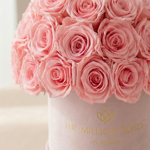 Basic Light Pink Suede Superdome Box | Light Pink Roses