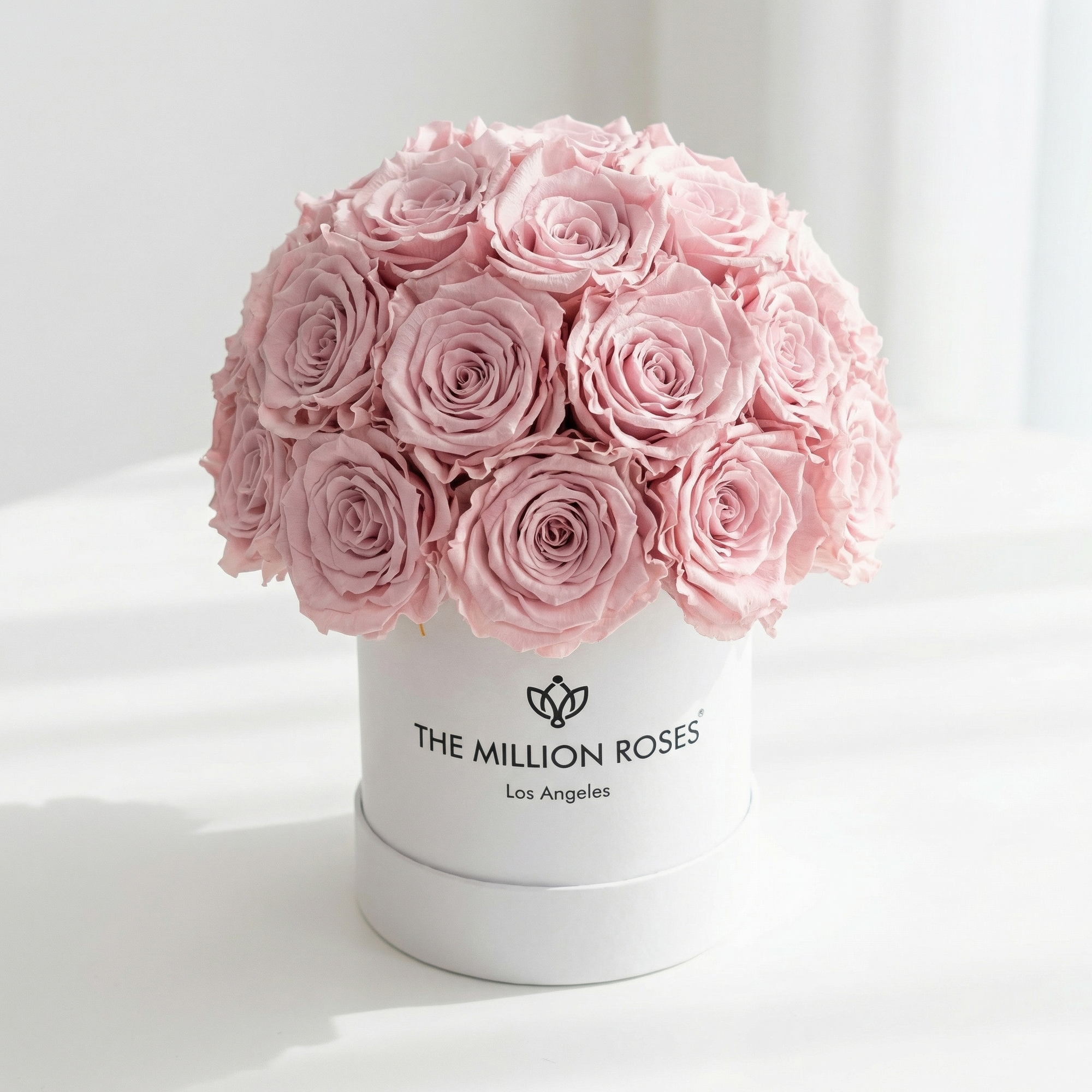Basic White Superdome Box | Light Pink Roses