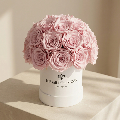 Basic White Superdome Box | Light Pink Roses