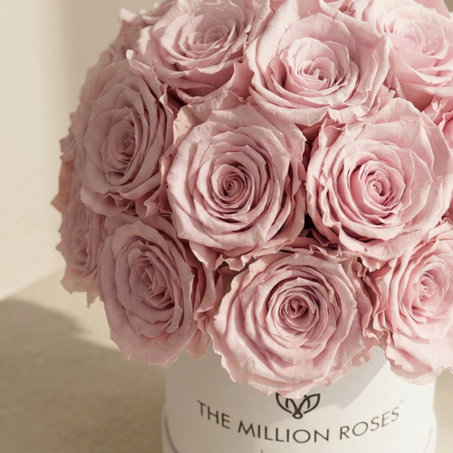 Basic White Superdome Box | Light Pink Roses