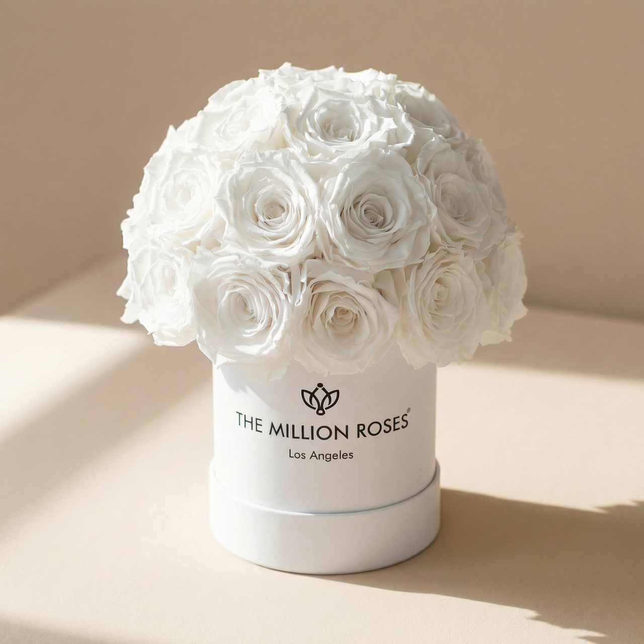 Basic White Superdome Box | White Roses