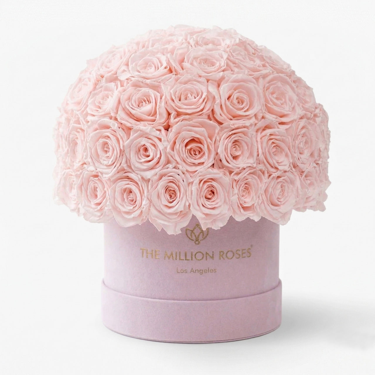 Classic Light Pink Suede Superdome Box | Light Pink Roses