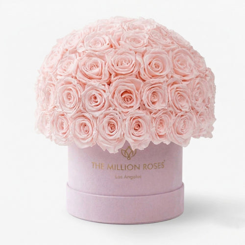 Classic Light Pink Suede Superdome Box | Light Pink Roses