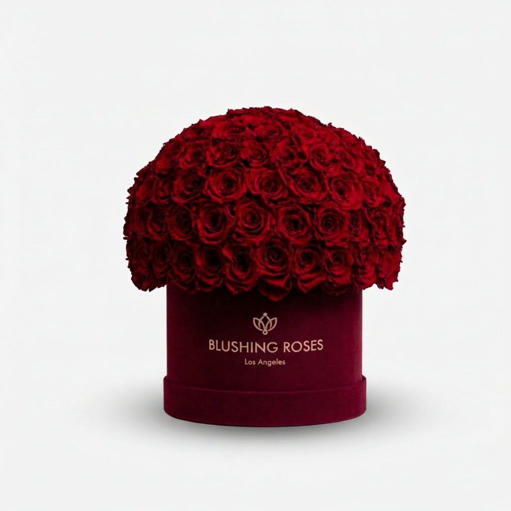 Red Preserved Roses by Blushing Roses in a burgundy sued tube box