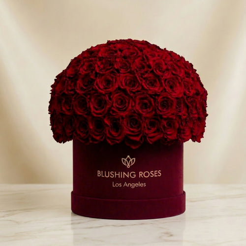 Red Roses |Classic Bordeaux Suede Superdome Box | Blushing Roses