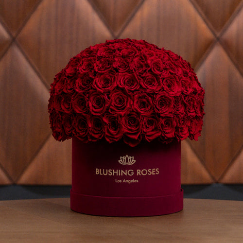Red Roses by Blushing Roses Suppliers in a dome shape of 150 plus roses; preserved to last for 3 years