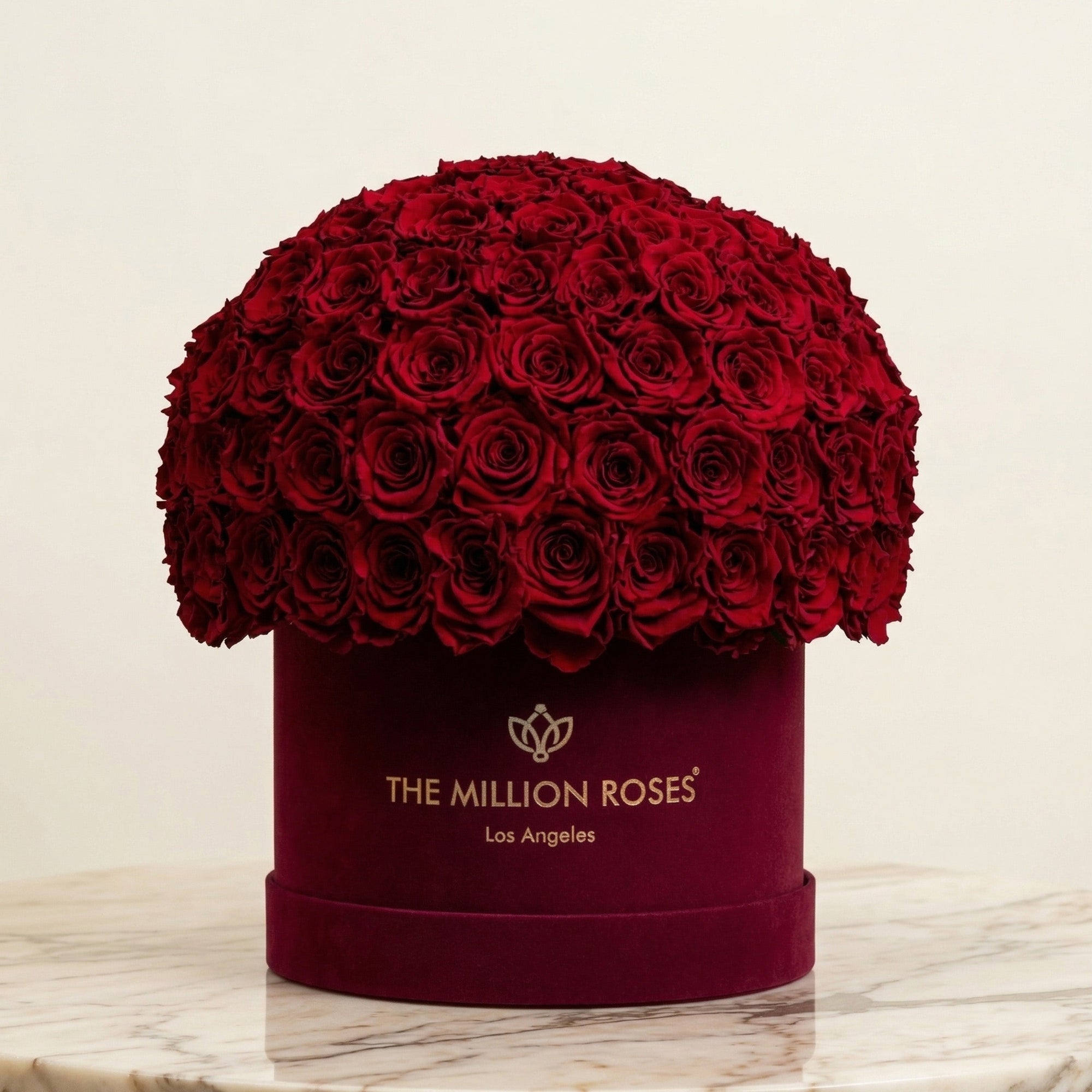Supreme Bordeaux Suede Superdome Box | Burgundy Roses