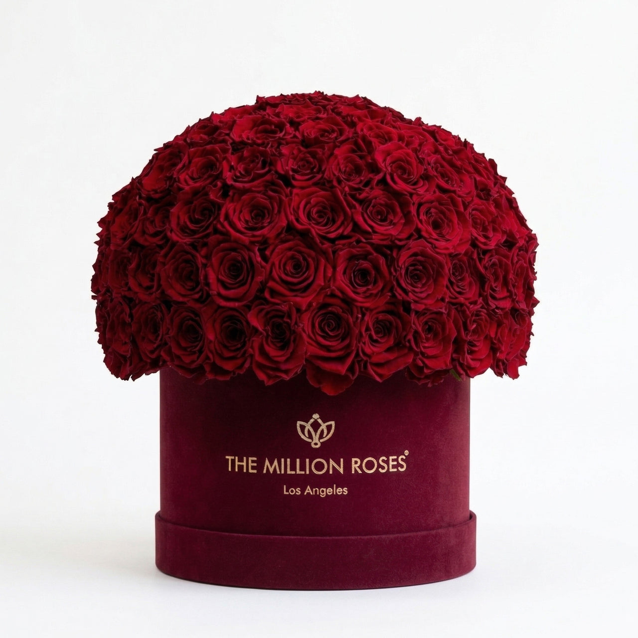 Supreme Bordeaux Suede Superdome Box | Burgundy Roses