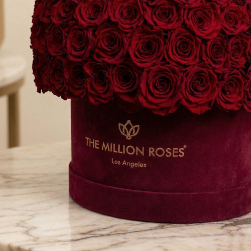 Supreme Bordeaux Suede Superdome Box | Burgundy Roses
