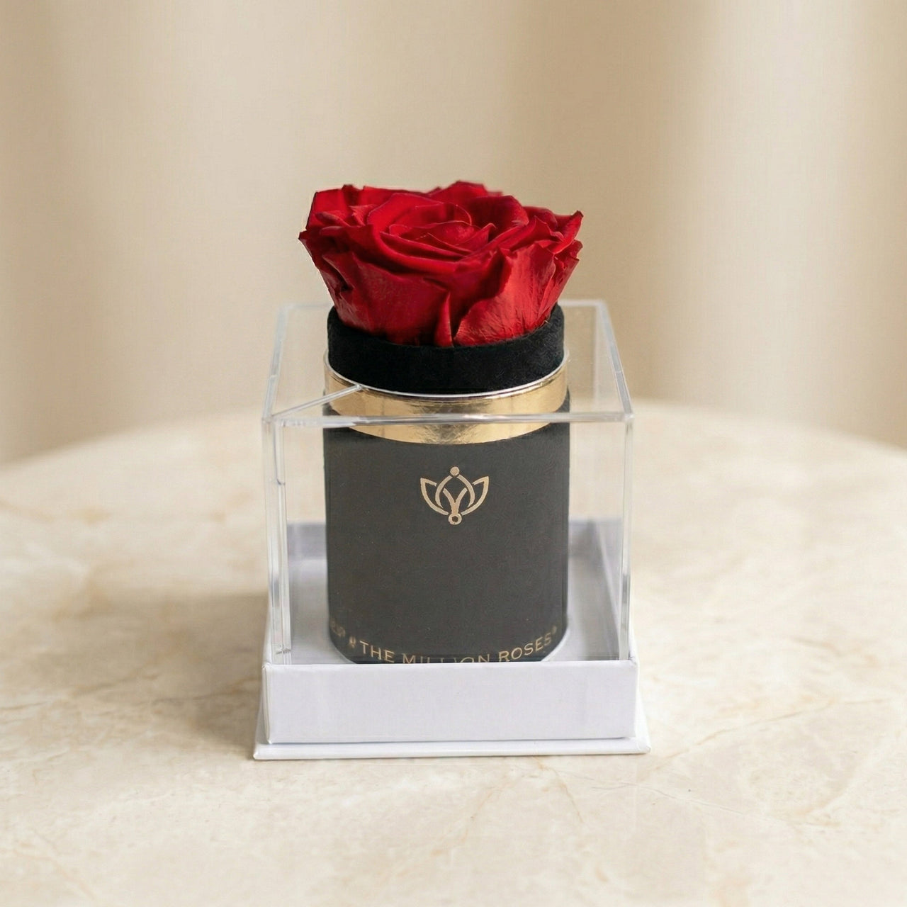 Single Black Suede Box | Red Rose