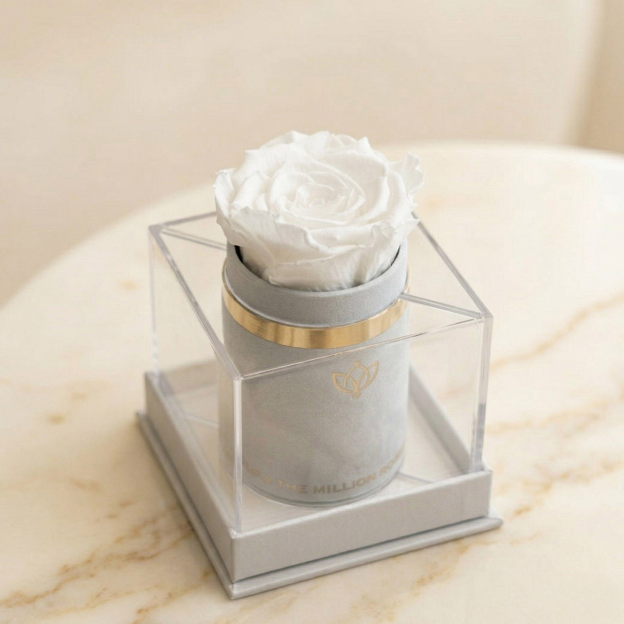 Single White Suede Box | White Rose