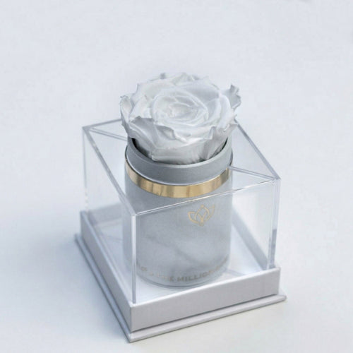 Single White Suede Box | White Rose